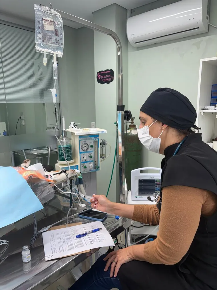 Veterinária preenchendo a ficha anestésica ao lado do aparelho de anestesia e do monitor multiparamétrico.