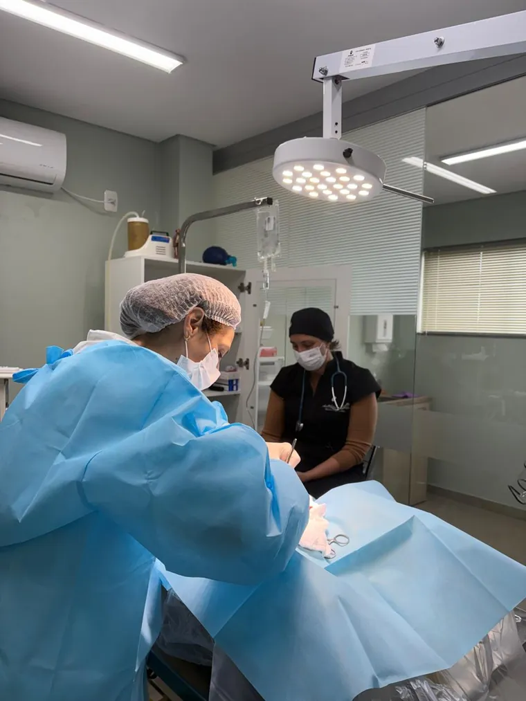 Centro cirúrgico do Recanto dos Bichos durante um procedimento, com foco cirúrgico e equipe paramentada.