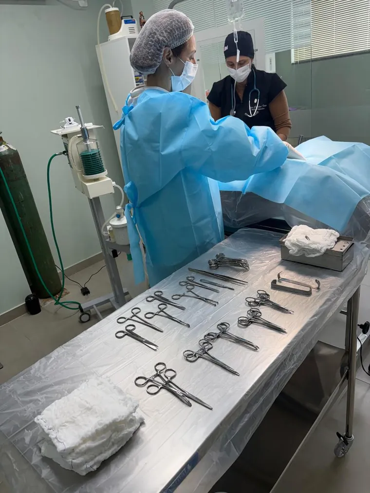 Mesa auxiliar com o instrumental cirúrgico esterilizado e organizado antes de uma cirurgia veterinária.