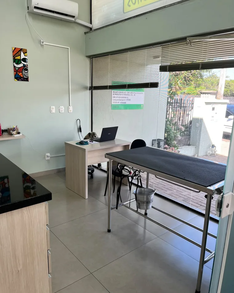 Consultório da clínica, com mesa de exame em inox e luz natural.