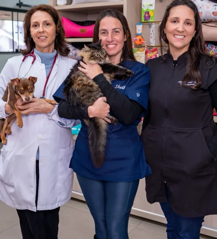 A equipe do Recanto dos Bichos hoje: as veterinárias e a auxiliar com um cão e um gato no colo, na loja da clínica.